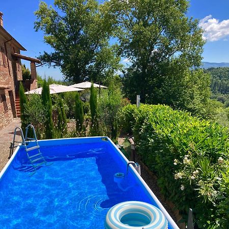 Grove Cottage: Immersed In Nature & Close To Town 皮耶韦城 外观 照片