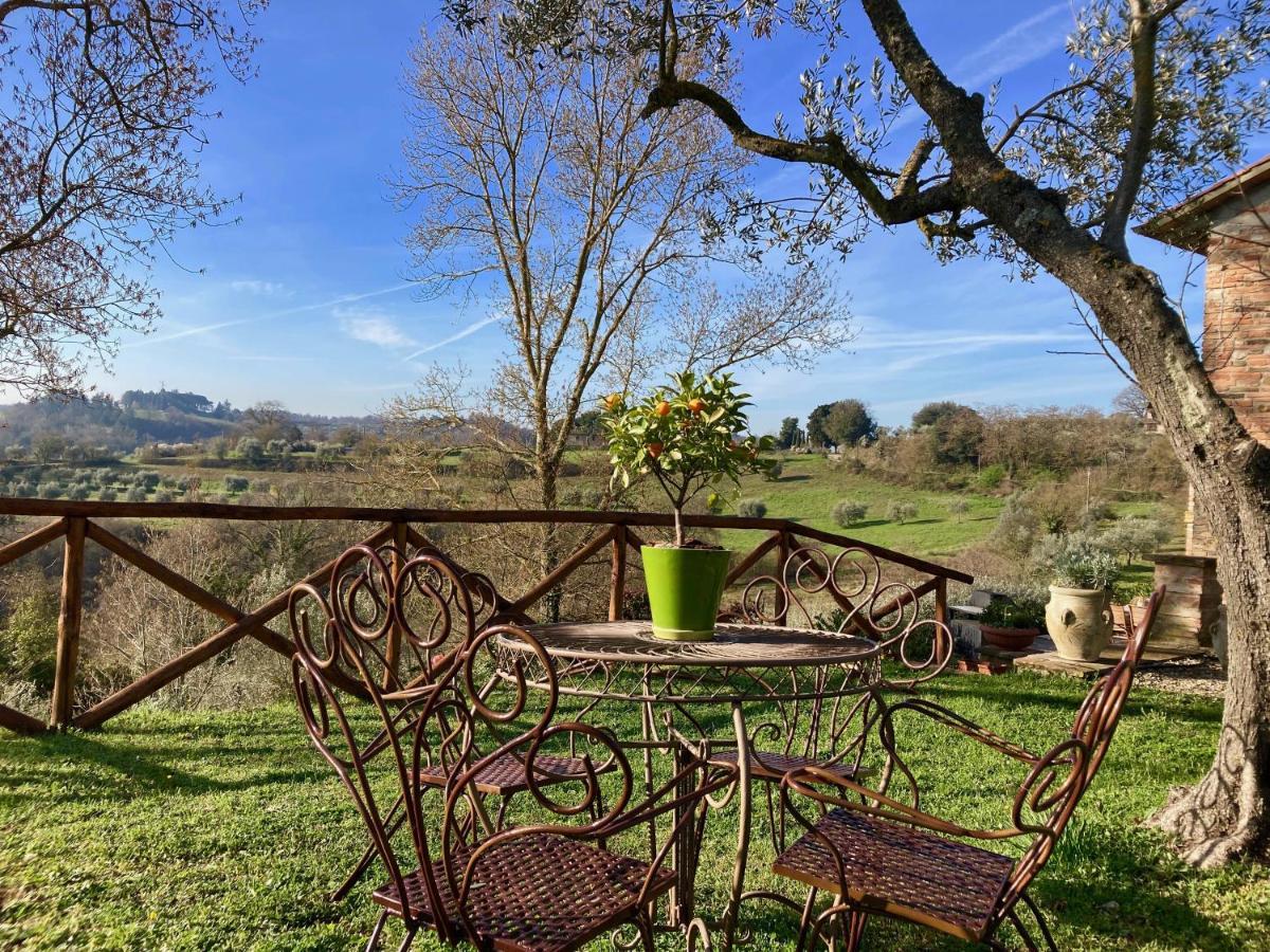 Grove Cottage: Immersed In Nature & Close To Town 皮耶韦城 外观 照片
