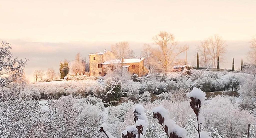 Grove Cottage: Immersed In Nature & Close To Town 皮耶韦城 外观 照片