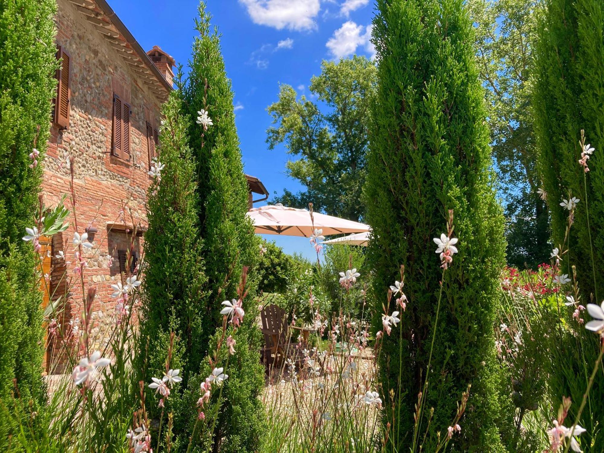 Grove Cottage: Immersed In Nature & Close To Town 皮耶韦城 外观 照片